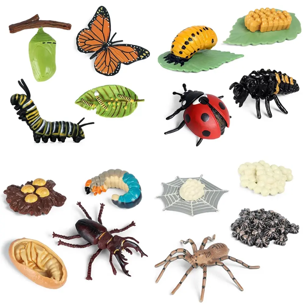 Growth Cycle Plastic Models Teaching Material Chicken Life Cycle Figurine Simulation Animals Action Figures Growth Cycle Model