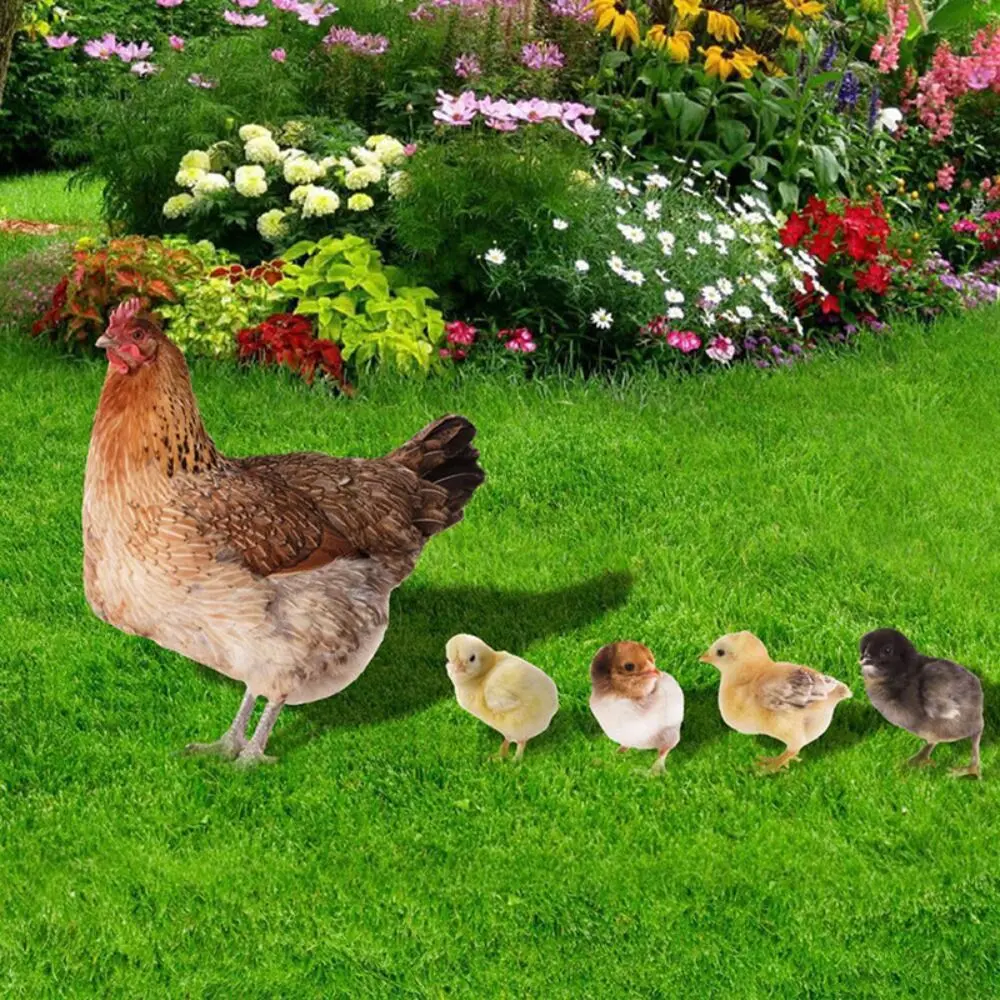 Interesting Acrylic Hen Statue Stereoscopic Insert Signs Chicken Cards Double-sided Chicken Statue Parks
