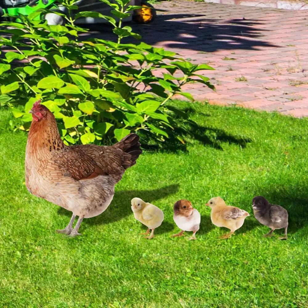 Interesting Acrylic Hen Statue Stereoscopic Insert Signs Chicken Cards Double-sided Chicken Statue Parks