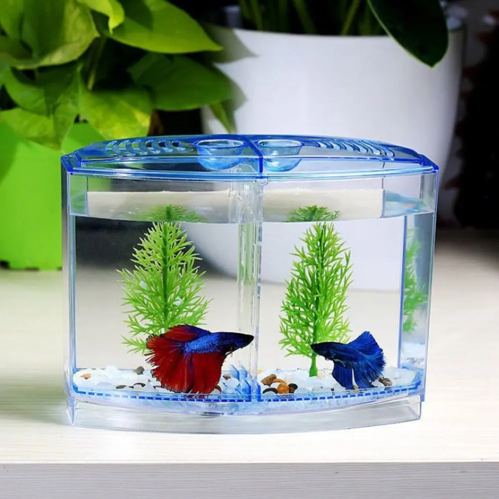 Transparent Betta Fish Tank Single/Double Grid Plastic Double-grid Betta Isolation Box Betta Isolation Box with Water Grass