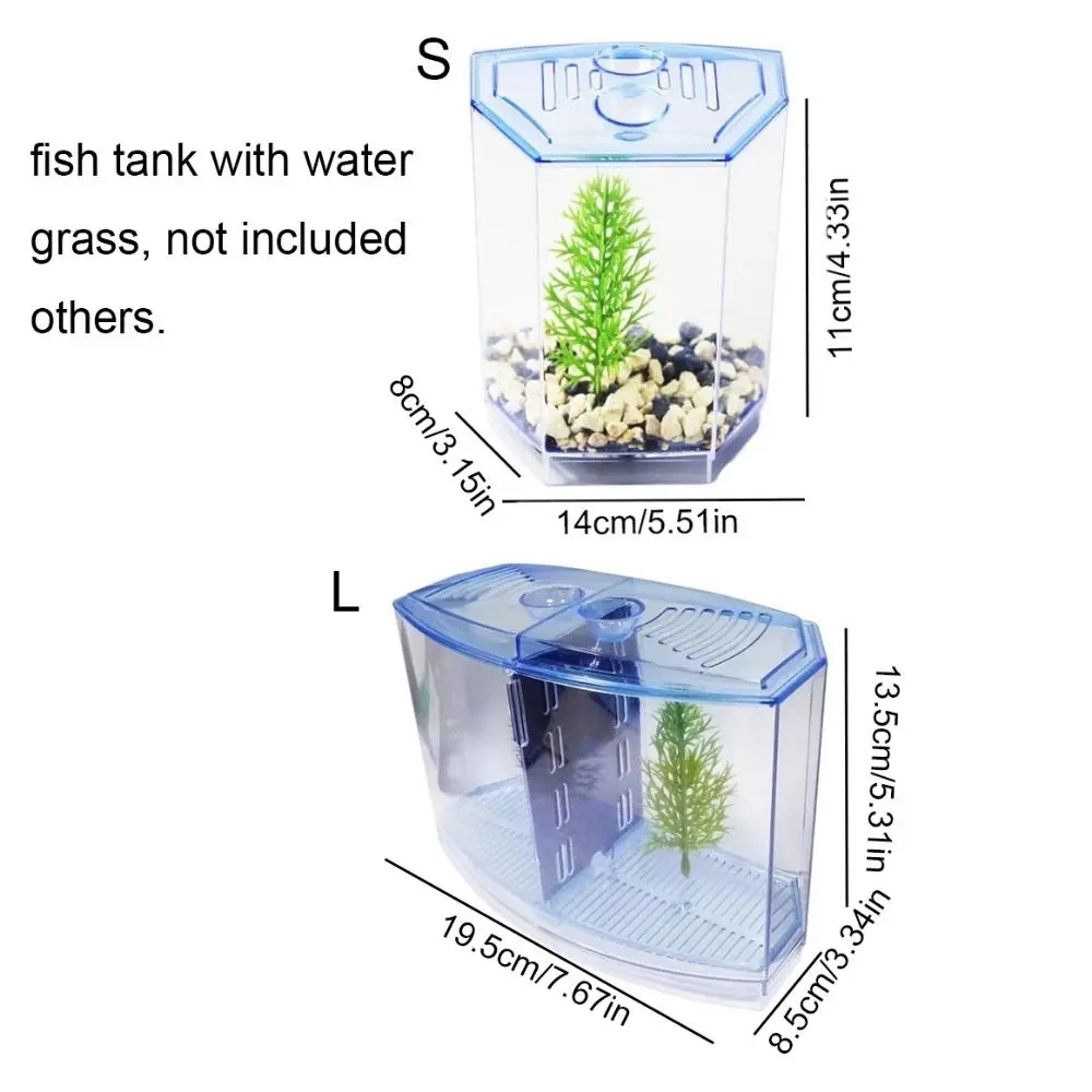 Transparent Betta Fish Tank Single/Double Grid Plastic Double-grid Betta Isolation Box Betta Isolation Box with Water Grass