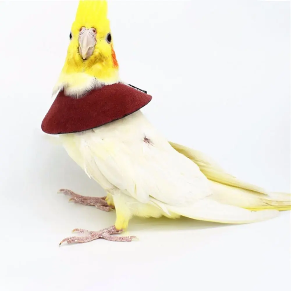 Bird Accessories Anti-bite for Bird Neck Protective Parrot Elizabethan Circle Bird Cloak Bird Recovery Collar Bird Neck Sleeve
