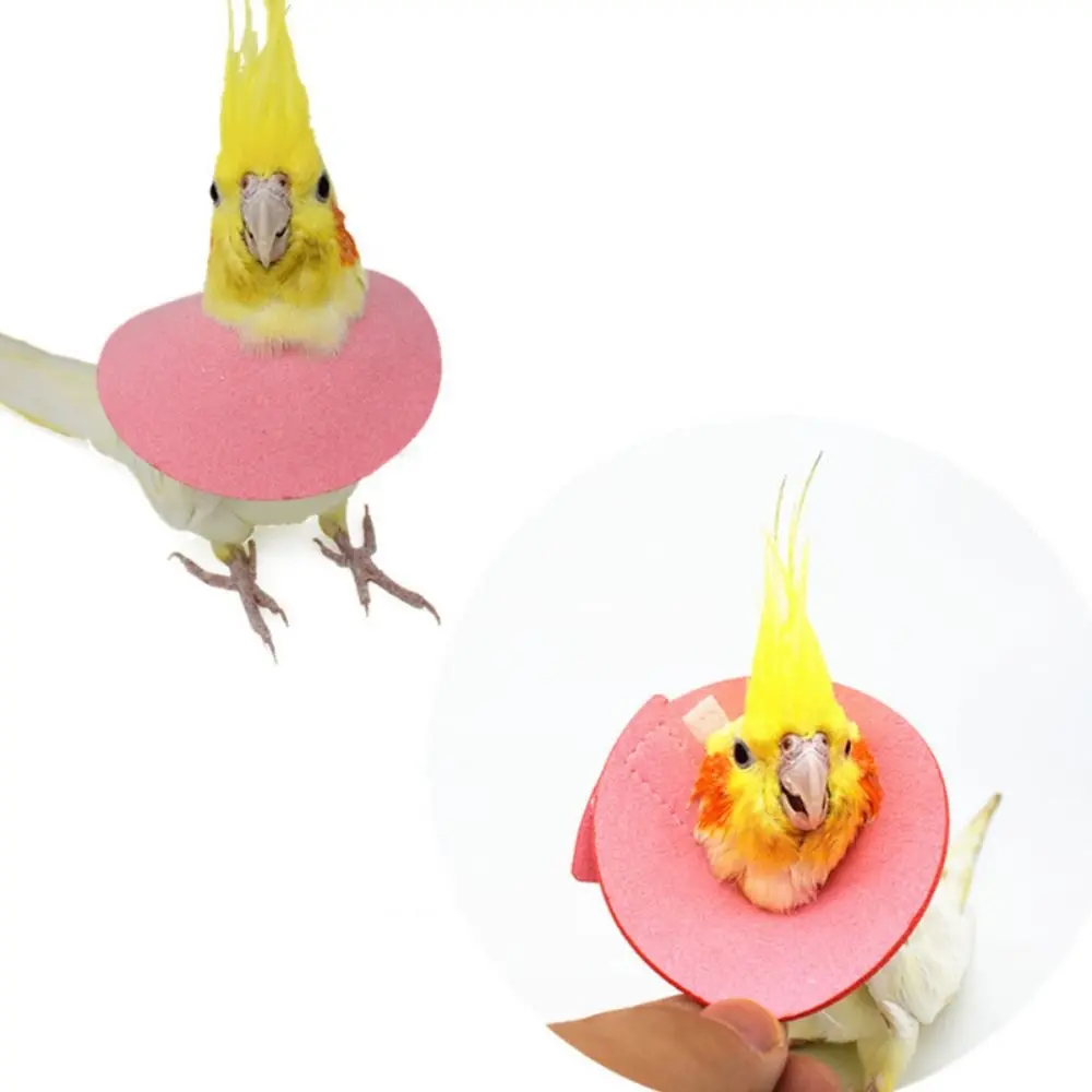 Bird Accessories Anti-bite for Bird Neck Protective Parrot Elizabethan Circle Bird Cloak Bird Recovery Collar Bird Neck Sleeve