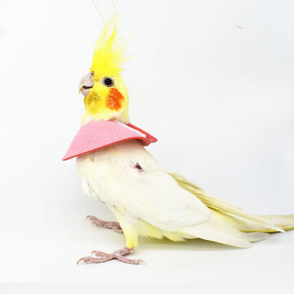 Bird Accessories Anti-bite for Bird Neck Protective Parrot Elizabethan Circle Bird Cloak Bird Recovery Collar Bird Neck Sleeve