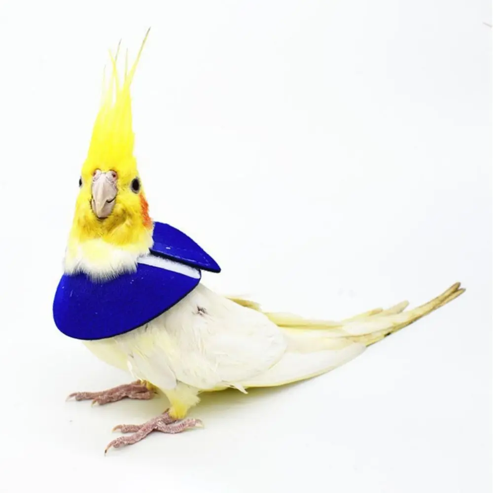 Bird Accessories Anti-bite for Bird Neck Protective Parrot Elizabethan Circle Bird Cloak Bird Recovery Collar Bird Neck Sleeve