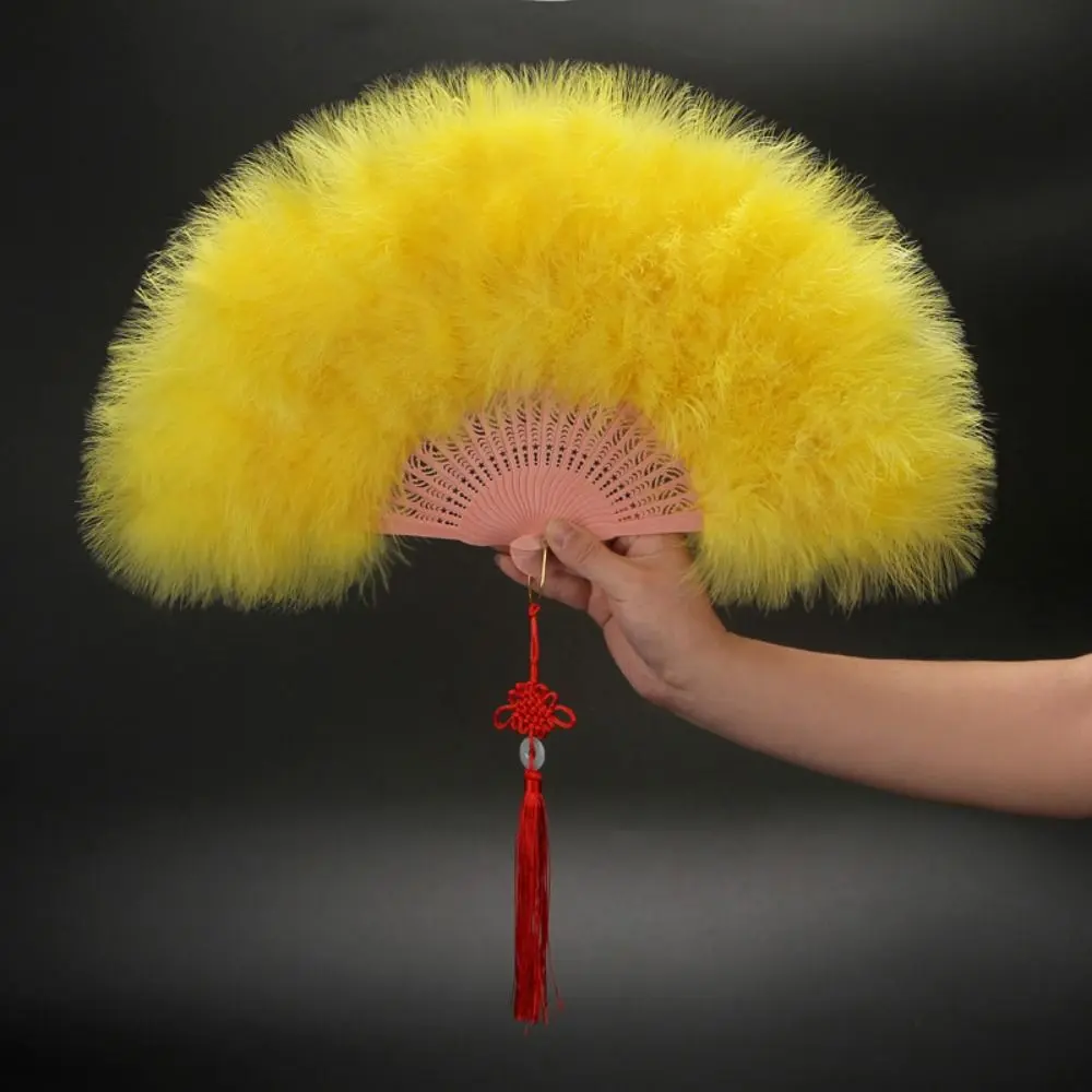 Chinese Handheld Feather Fan Colorful with Tassels Wedding Folding Fan Elegant Traditional Show Dance Fan
