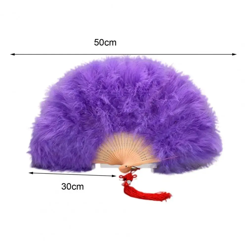Chinese Handheld Feather Fan Colorful with Tassels Wedding Folding Fan Elegant Traditional Show Dance Fan