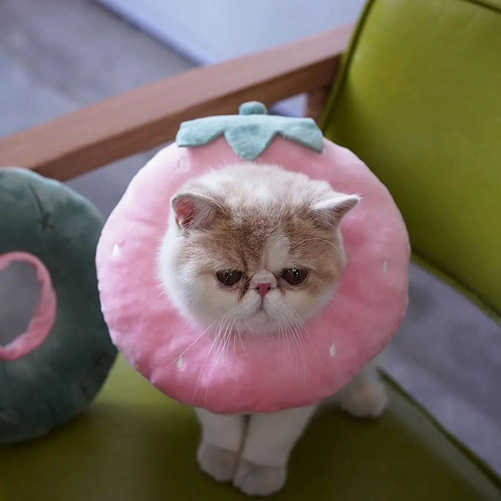 Donut Cute Wound Healing Dog Neck Cone Anti-Bite Prevent Bite Recovery  Collars Pet Supplies Cat  Collar Protection Collar