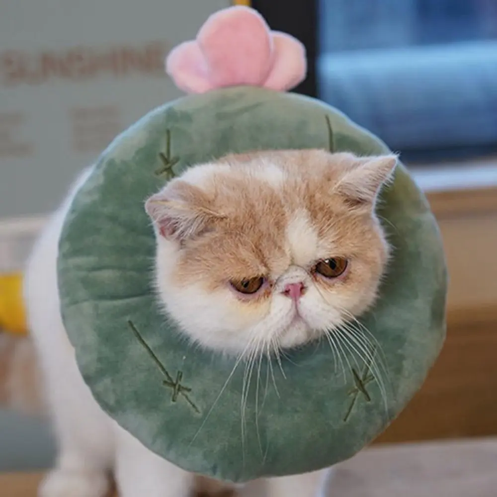 Donut Cute Wound Healing Dog Neck Cone Anti-Bite Prevent Bite Recovery  Collars Pet Supplies Cat  Collar Protection Collar