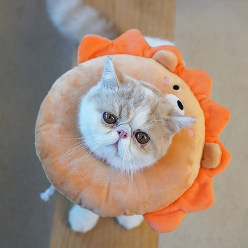 Donut Cute Wound Healing Dog Neck Cone Anti-Bite Prevent Bite Recovery  Collars Pet Supplies Cat  Collar Protection Collar