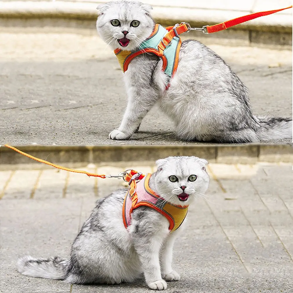 Outdoor Anti-leak Soft Breathable Dog Leash Vest Harness Cat Accessories Cat Harness Cat Collar Pets Vest