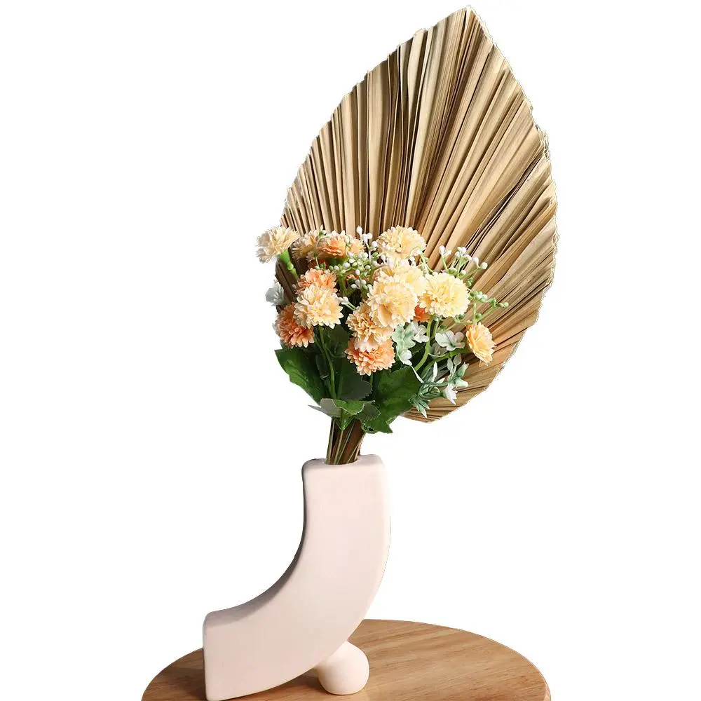 Decoration Office Bohemian Natural Tropical Trimmed Dried Plant Leaves Fan Leaf Palm Spears