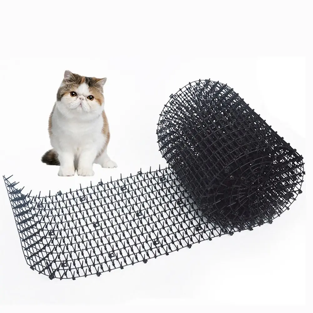 324
