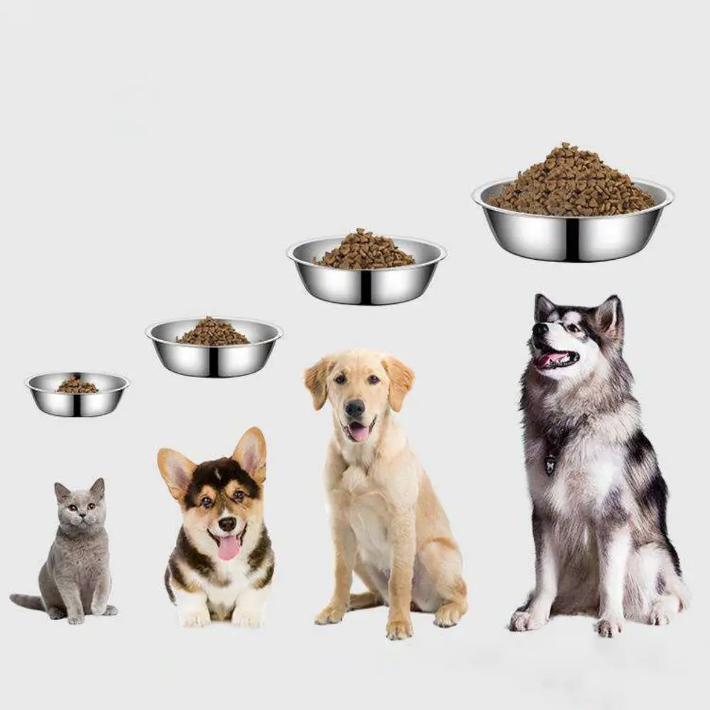 Dog Feeding Bowl Large Capacity Dog Bowl Non-rust Stainless Steel Cat Feeder Silver Cat Water Feeder Bowls Puppy