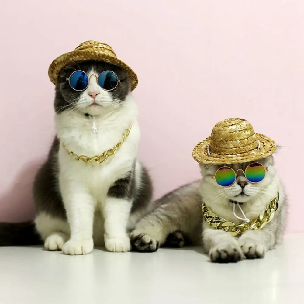 Premium No Discoloration Cat Accessory Small Dog Pet Accessory Not Fade Cat Collar Dog Necklace Dog Gold Chain Pet Chain