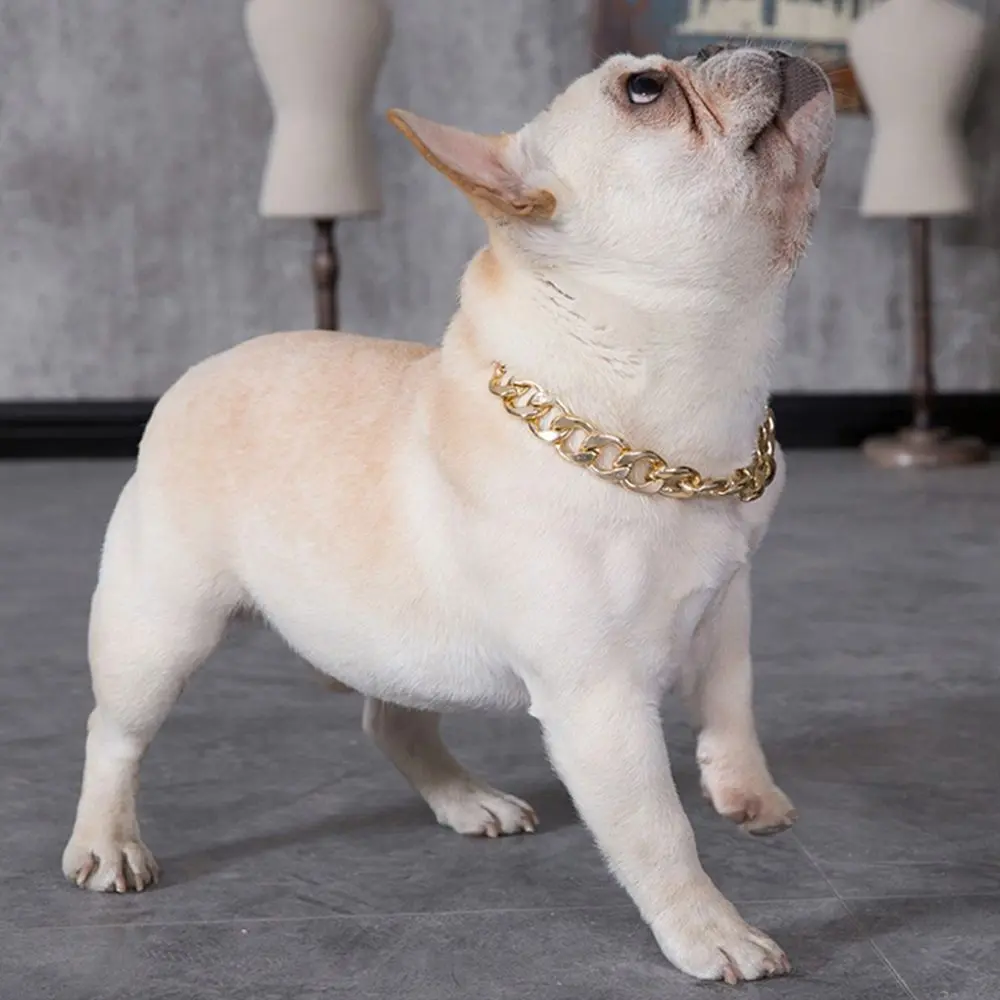 Premium No Discoloration Cat Accessory Small Dog Pet Accessory Not Fade Cat Collar Dog Necklace Dog Gold Chain Pet Chain