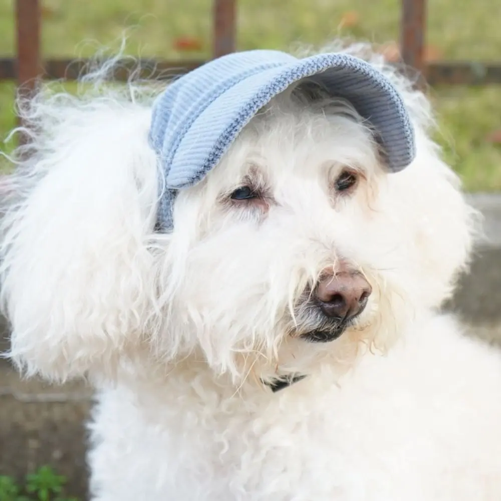 Pet Accessories Adjustable Dog Baseball Cap Breathable with Ear Holes Pet Sun Hat Soft Dog Parent-Child Hat Summer
