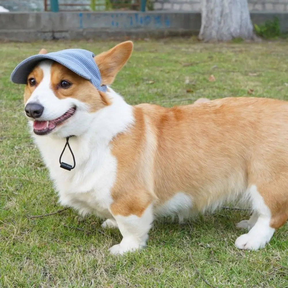 Pet Accessories Adjustable Dog Baseball Cap Breathable with Ear Holes Pet Sun Hat Soft Dog Parent-Child Hat Summer