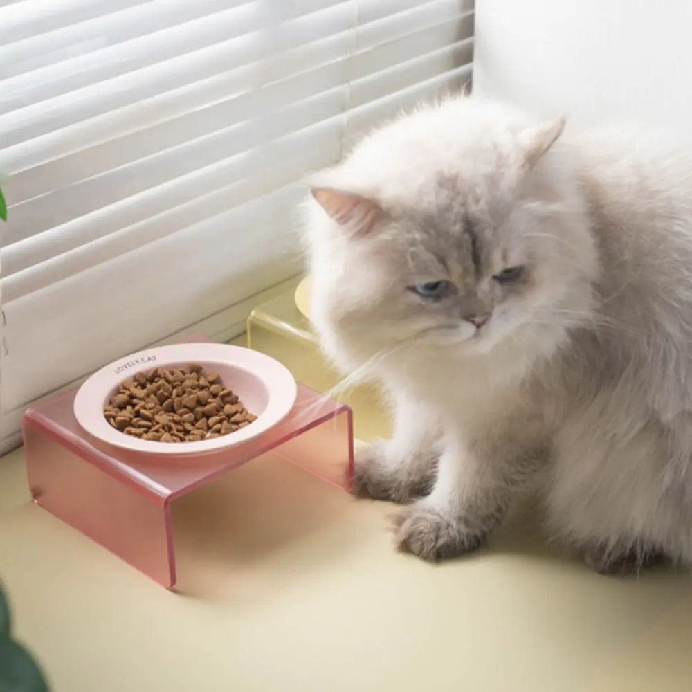 Cat Eating Bowls Cervical Protect UFO Ceramic Cat Bowl Round 170ml Cat Feeding Dish Ceramic Cat Food Water Bowl Indoor