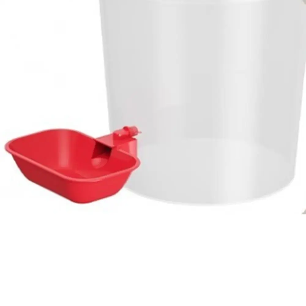 Safe Automatic Cat Water Dispenser Removable Silent Dog Water Feeder 8/10 L Lagre Capacity Pet Water Fountain Holiday