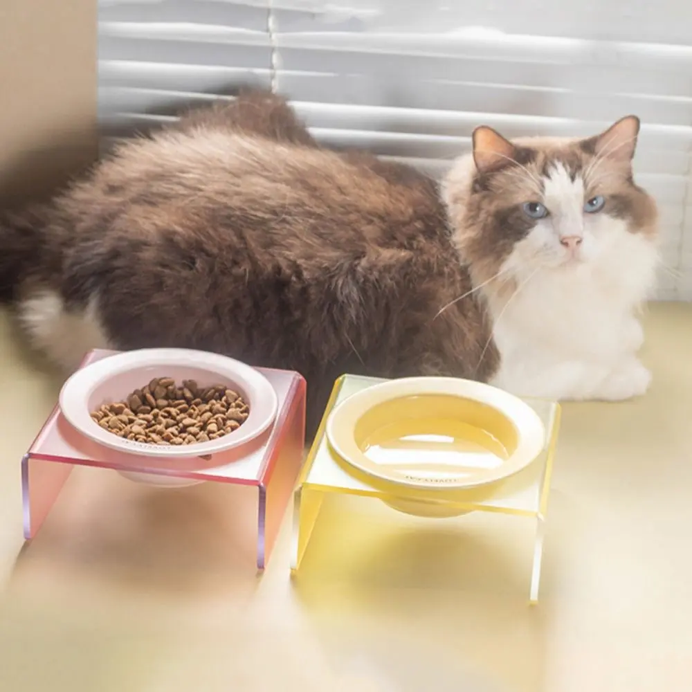 Cat Eating Bowls Cervical Protect UFO Ceramic Cat Bowl Round 170ml Cat Feeding Dish Ceramic Cat Food Water Bowl Indoor