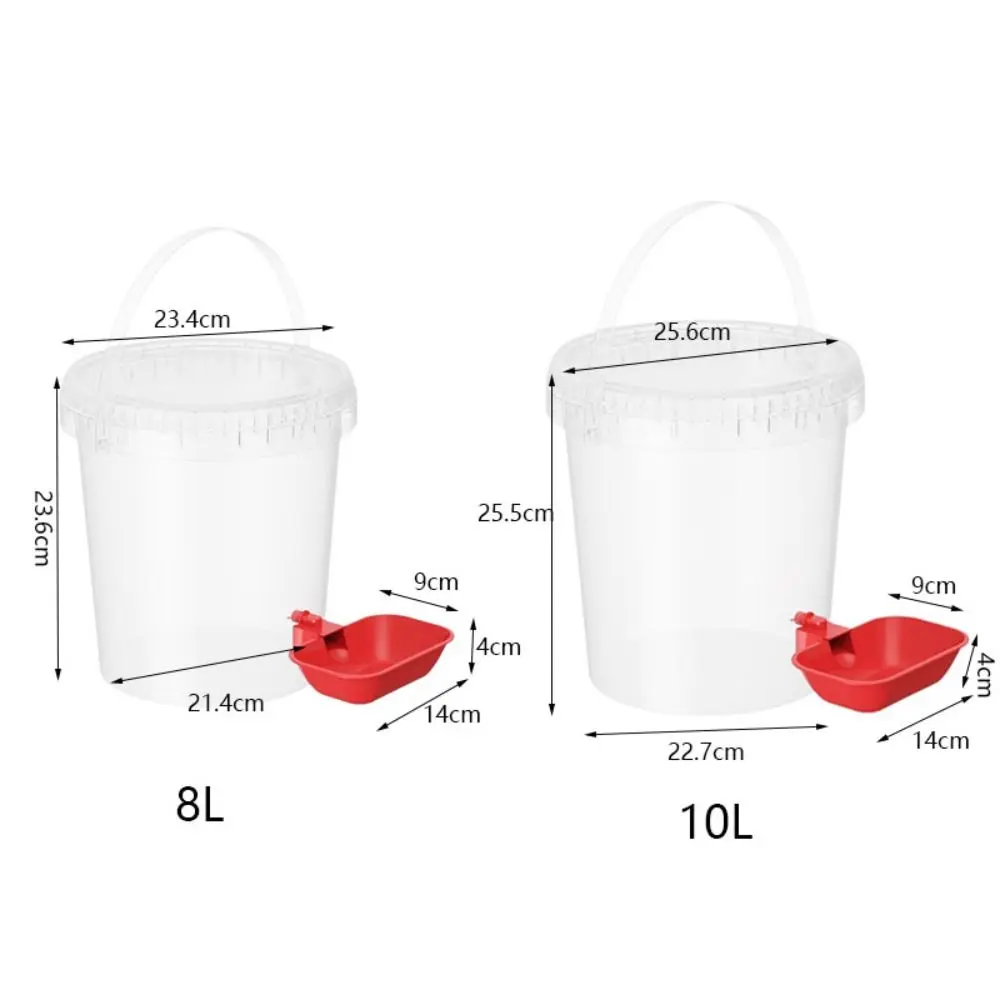 Safe Automatic Cat Water Dispenser Removable Silent Dog Water Feeder 8/10 L Lagre Capacity Pet Water Fountain Holiday