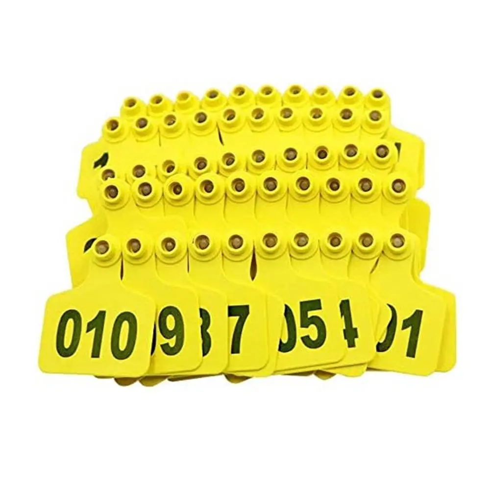 324