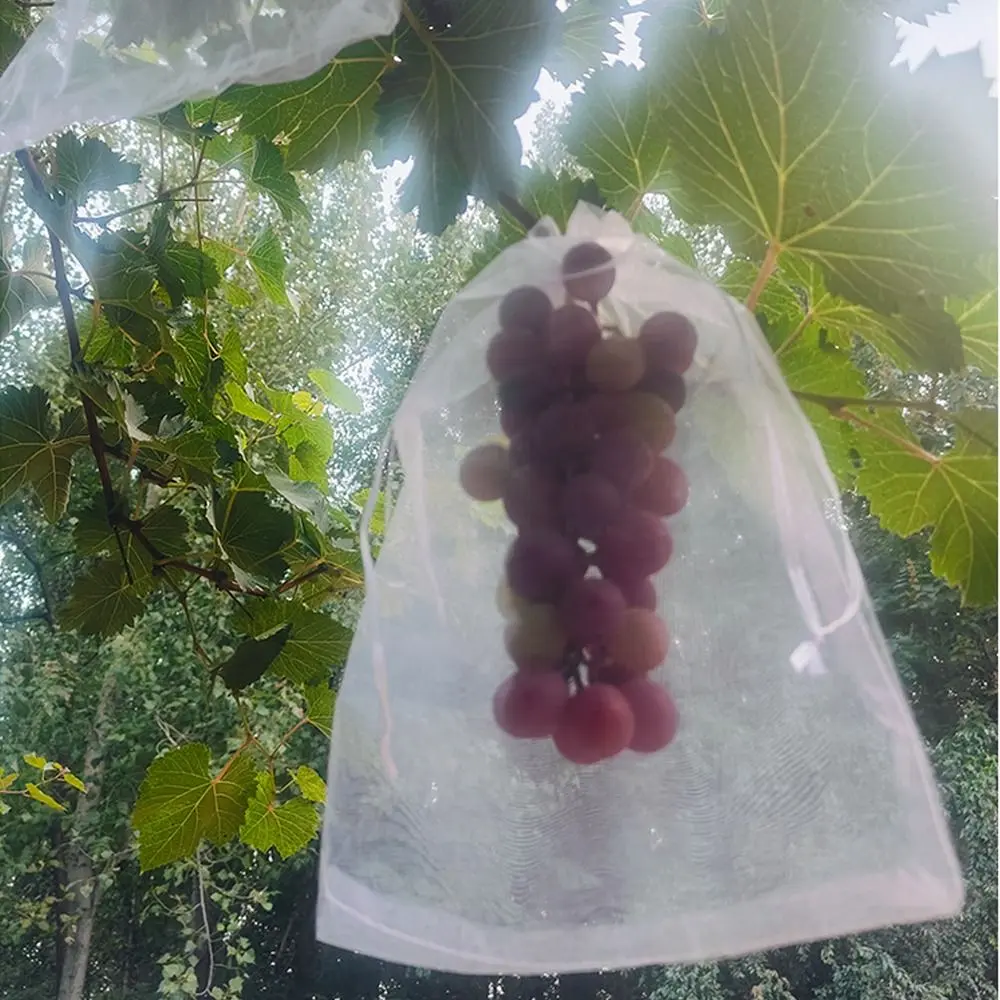 100pcs Mesh Grapes Fruit Grow Bags White Breathable Vegetable Plant Protection Bags Generic Plant Grow Bag