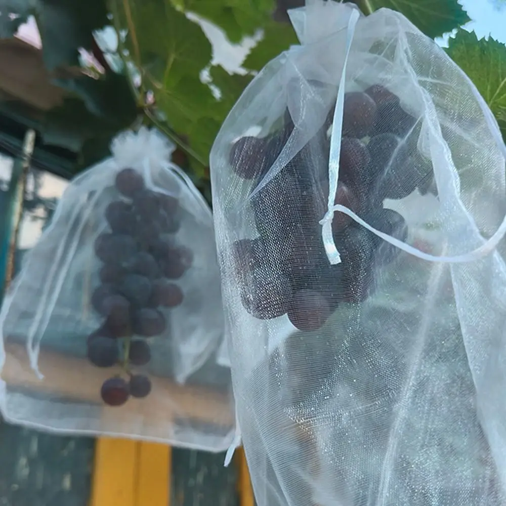 100pcs Mesh Grapes Fruit Grow Bags White Breathable Vegetable Plant Protection Bags Generic Plant Grow Bag