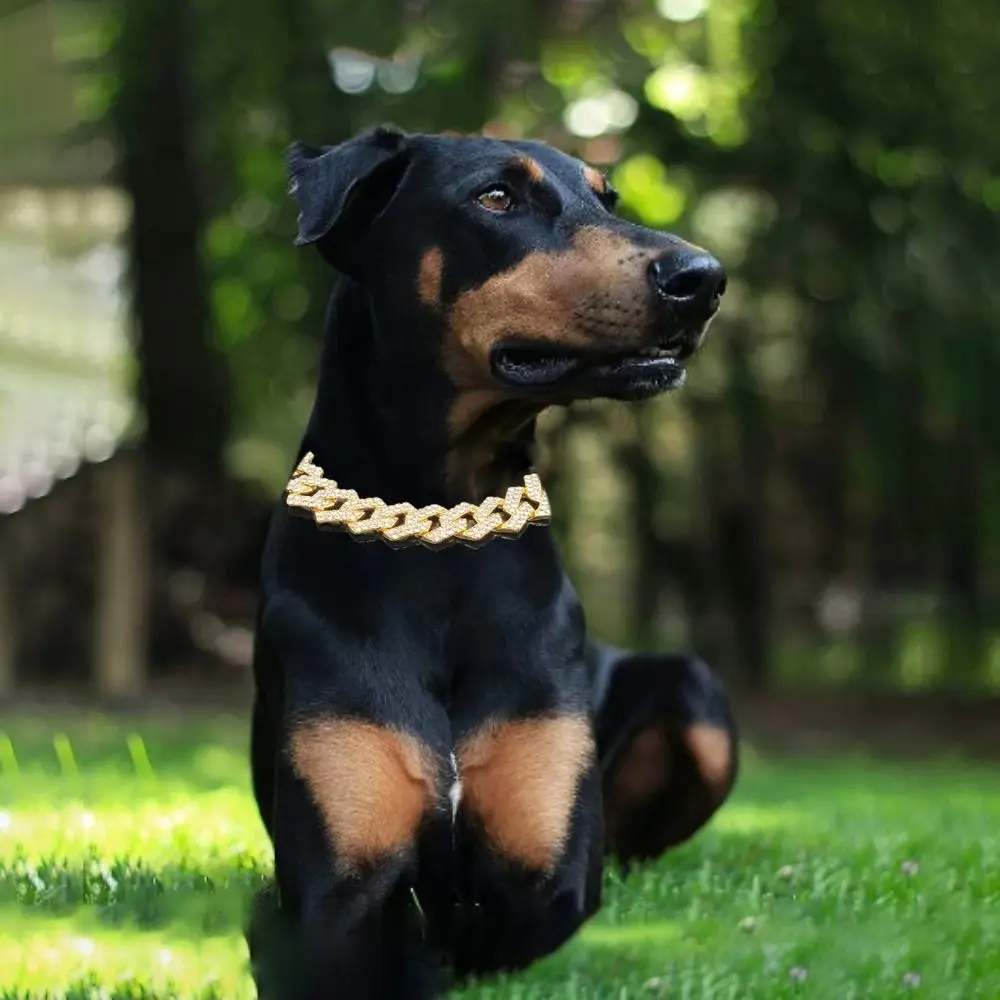 Width 2MM Non-rust with Diamond Durable Cat Collar Pet Accessories Dogs Necklace Dogs Chains