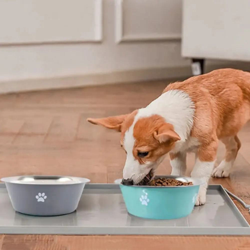 Large Capacity Stainless Steel Dog Bowl Non-rust Bilayer Dog Water Bowl Pet Feeders Non-slip Dog Food Bowls Drinkers