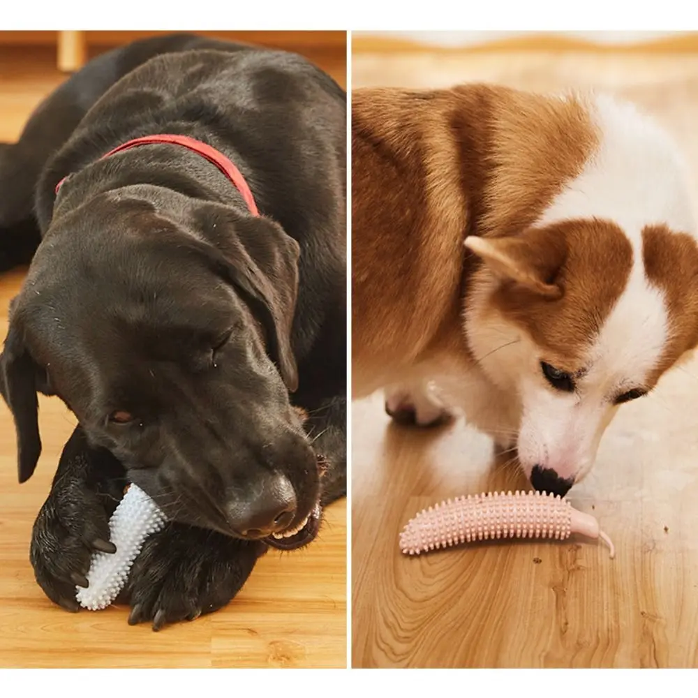 Cucumber Shape Dog Teeth Grinding Stick Bite Resistant TPE Dog Biting Stick Wear Resistant Pet Molar Stick for Dogs Puppy