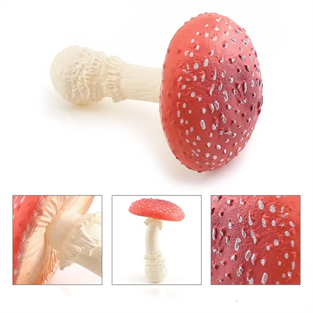 Vegetable Model Fungus Figurines Matsutake Oyste Artificial Simulation Mushroom Teaching Toy Pleurotus Fungus Model Garden Decor