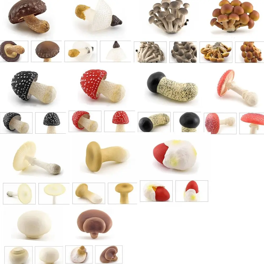 Vegetable Model Fungus Figurines Matsutake Oyste Artificial Simulation Mushroom Teaching Toy Pleurotus Fungus Model Garden Decor