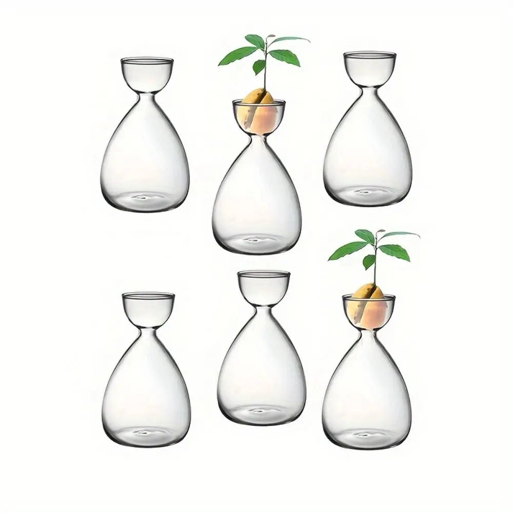Small Avocado Planting Vase Heat-resistant Exquisite Avocado Hydroponic Bottle Simple Transparent Breeding Container Indoor
