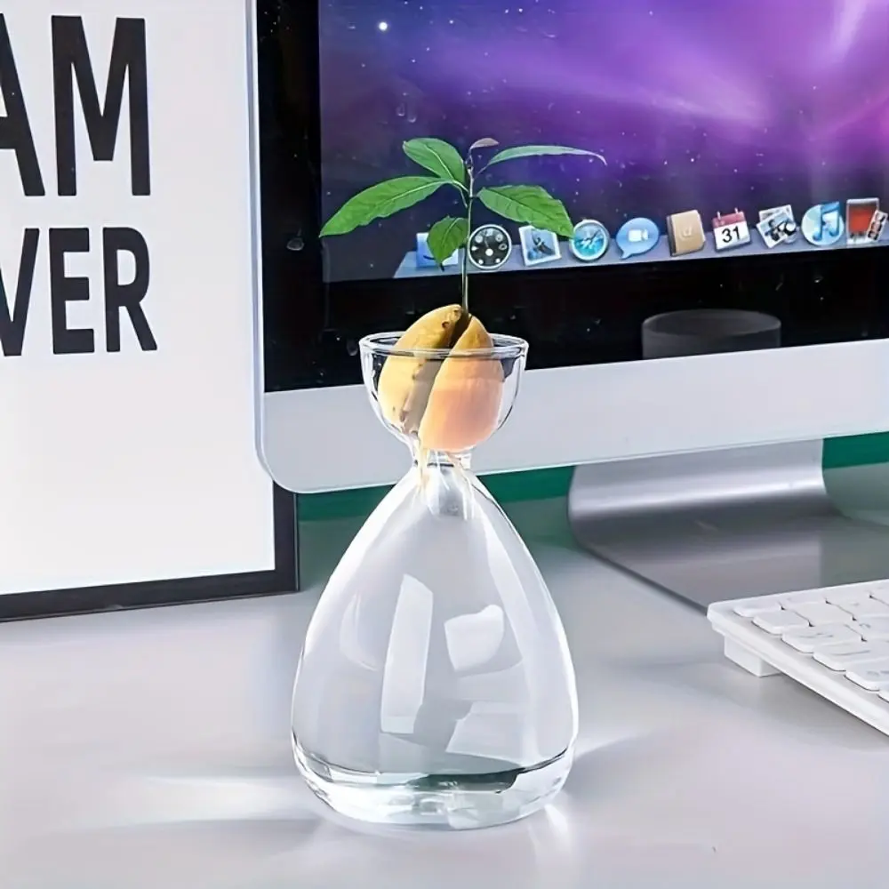 Small Avocado Planting Vase Heat-resistant Exquisite Avocado Hydroponic Bottle Simple Transparent Breeding Container Indoor