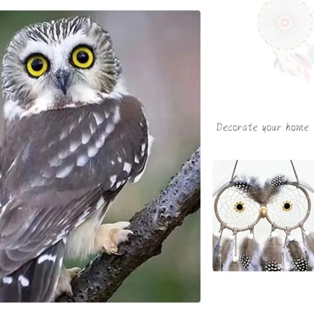 Wall Art Handmade Owl Dream Catcher Net Creative Exquisite Smart Bird Dreamcatcher Colorful Funny Wall Hanging Pendant Window