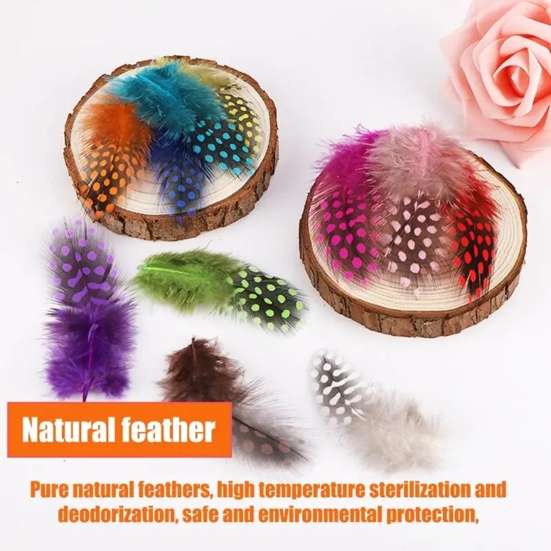 39BB Pack Of 100 Colorful Dotted Natural For Crafts And Wedding Decorations
