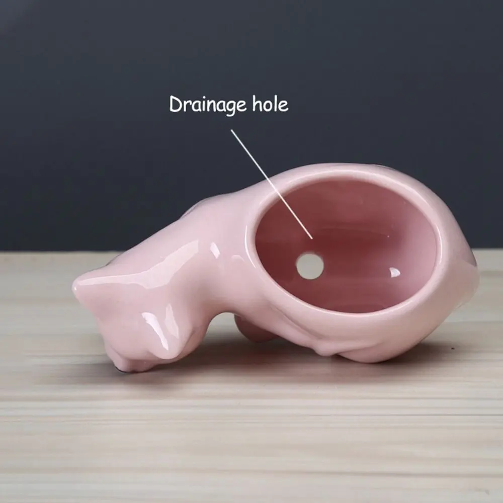 Funny With Tray Cat Flower Vase Exquisite Cute Ceramic Flower Pot With Drainage Hole Kitten Vase Container Home Decor