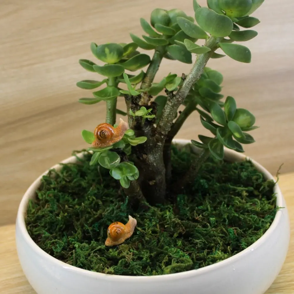 Creative Micro Landscape Succulent Handicraft Garden Decoration Fairy Snail Ornament Resin Craft Snail Model Miniature Figurine