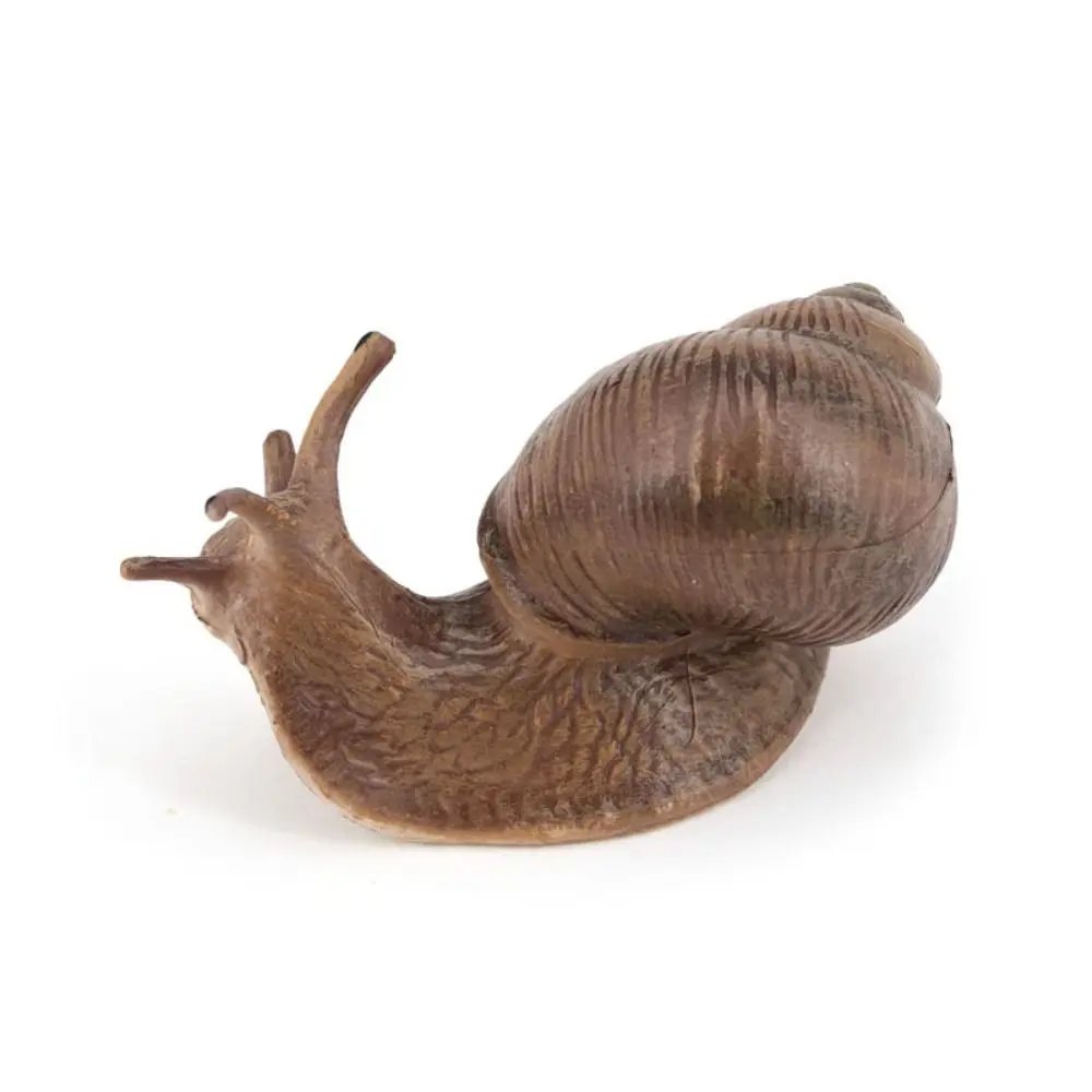 Delicate Solid Puzzle Science Micro Landscape Children's Cognitive Simulation Insect Snail Statue Garden Decoration Snail Model