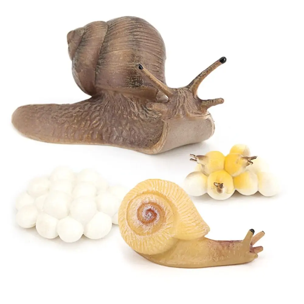 Delicate Solid Puzzle Science Micro Landscape Children's Cognitive Simulation Insect Snail Statue Garden Decoration Snail Model