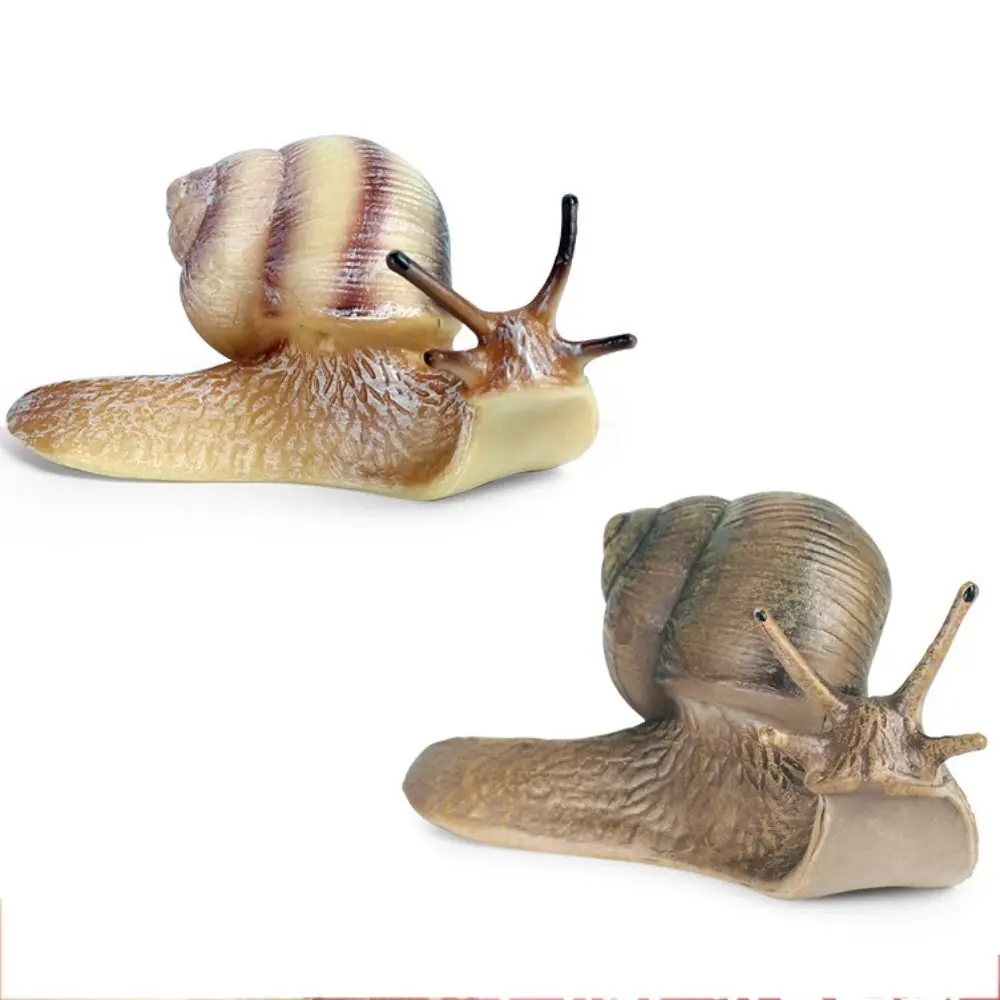 Delicate Solid Puzzle Science Micro Landscape Children's Cognitive Simulation Insect Snail Statue Garden Decoration Snail Model