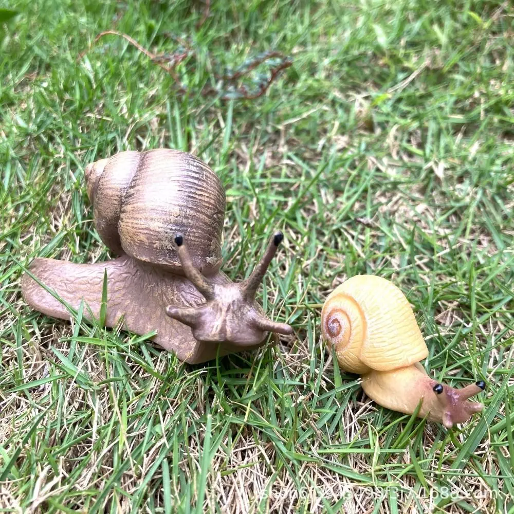 Delicate Solid Puzzle Science Micro Landscape Children's Cognitive Simulation Insect Snail Statue Garden Decoration Snail Model