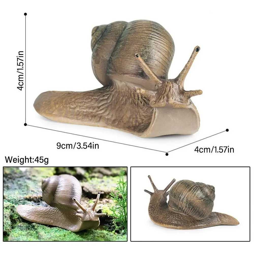 Delicate Solid Puzzle Science Micro Landscape Children's Cognitive Simulation Insect Snail Statue Garden Decoration Snail Model