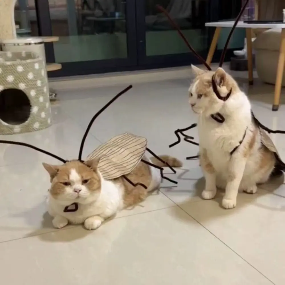 Creative Cat Cosplay Cockroach Costume Cartoon Cute Pet Clothes Material Kit with Cockroach Wings Unfinished