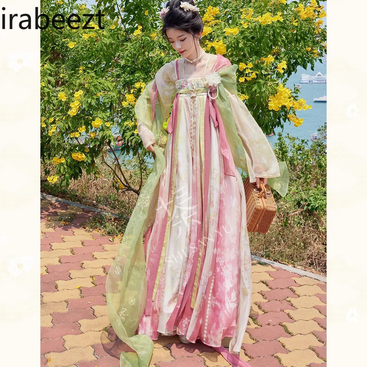 Chest-length Printed National Style Pleated Long Robe on Daily Tang-style Spring and Summer Hanfu Small Super Fairy Suit