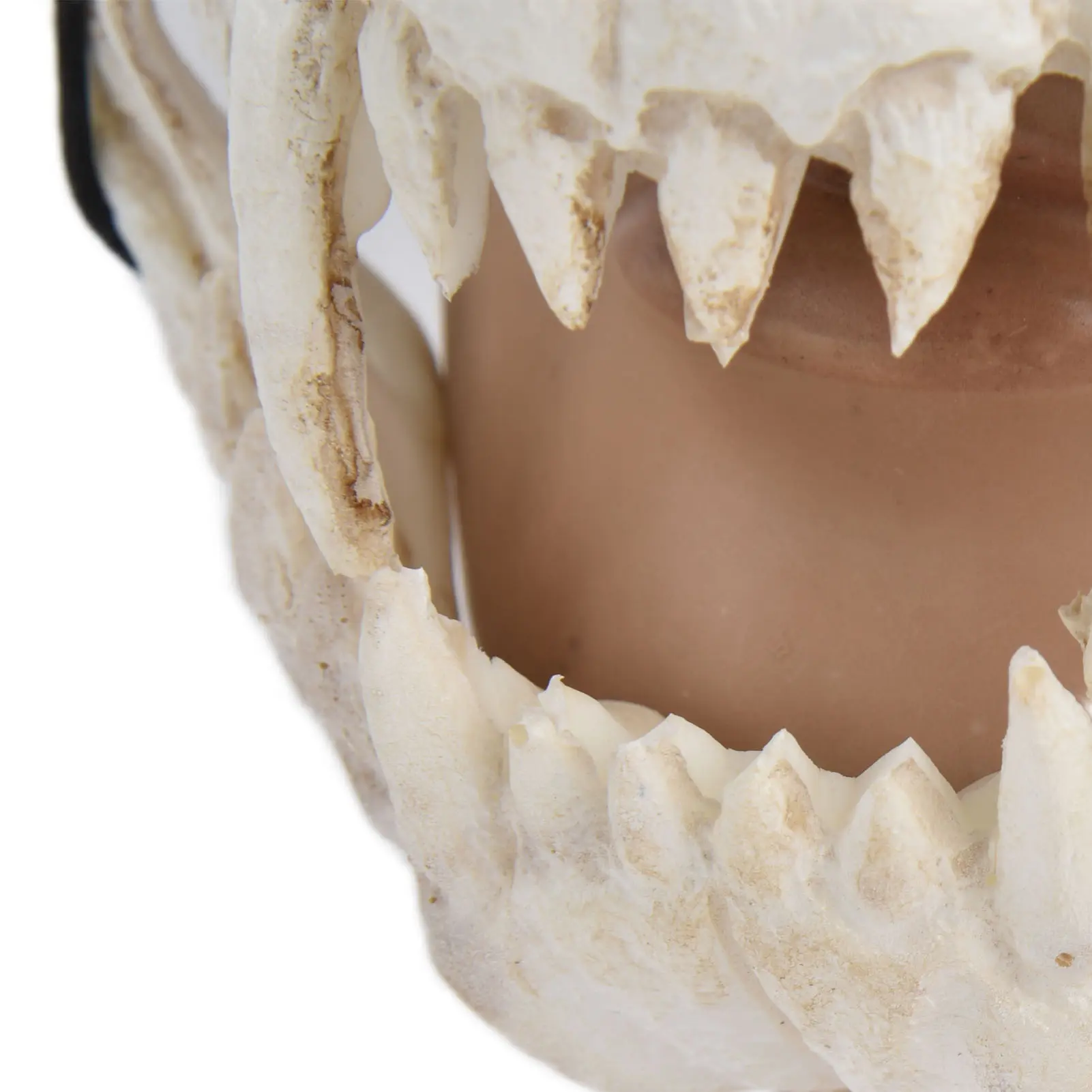 Halloween Mask Scary Mask Skull Mask Latex  Tooth Type  Waterproof Adjustable Scary Mask for Party Festival Theater