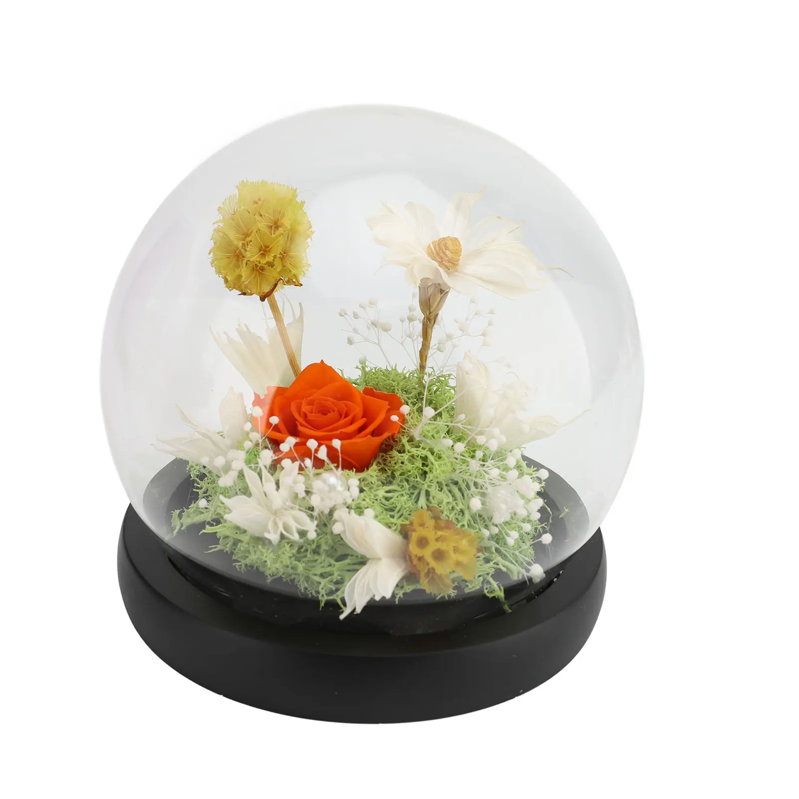 Eternal Flower in Glass Dome Exquisite Romantic LED Light Up Preserved Flower in Glass Dome Preserved Flower in Glass Dome