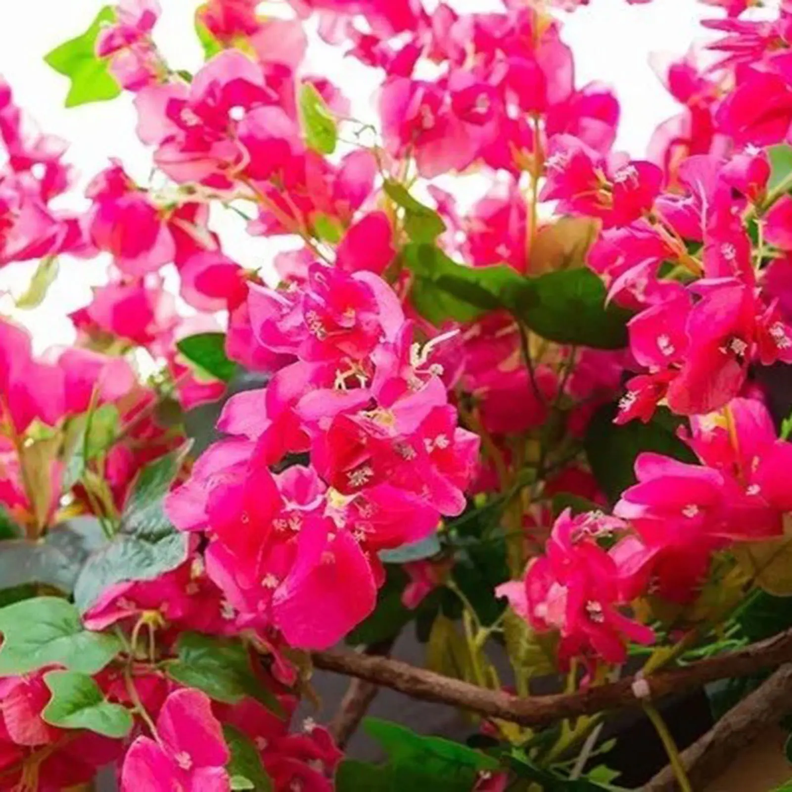 Silk Bougainvillea Branches Wilt  Flexible Iron Wire Stem Silk Bougainvillea Artificial Flowers Reusable for Wedding Table